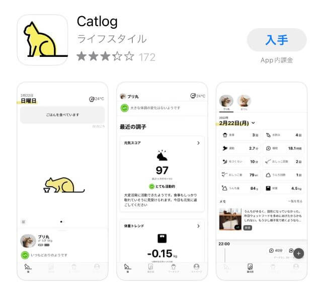 Catlog Boardレビュー！3年使ってわかった魅力を徹底解説 – 猫の親子と