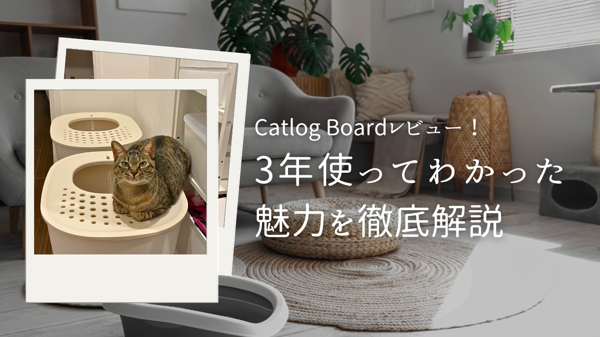 M 様専用 catlog by board キャトログボード1個