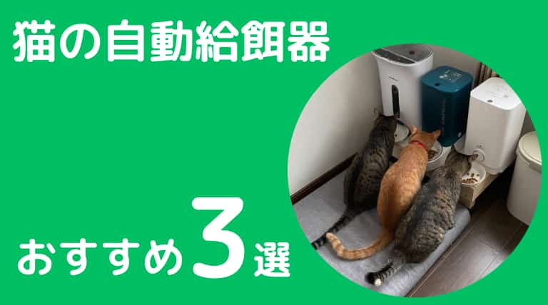 猫の自動給餌器おすすめ3選！選び方やメリット・デメリットも紹介 | 猫